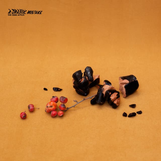 Album cover art for A Drastic Mistake