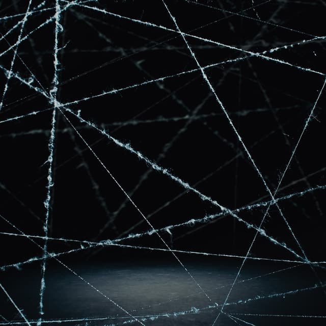 Album cover art for Player 1
