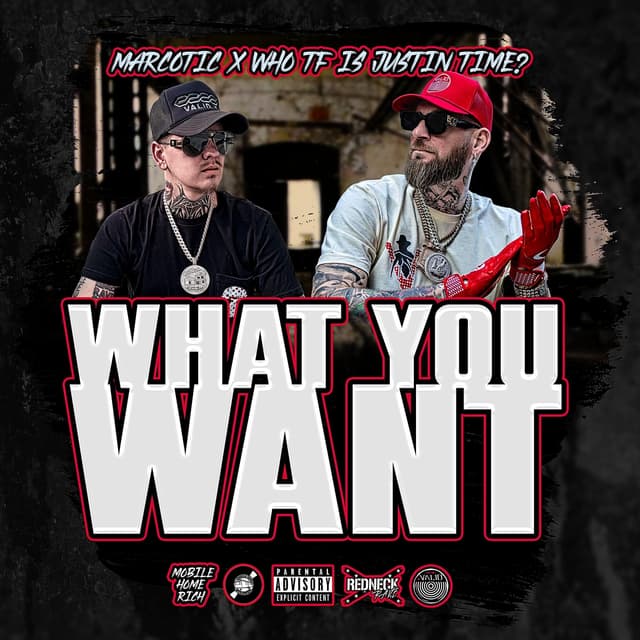 Album cover art for What You Want