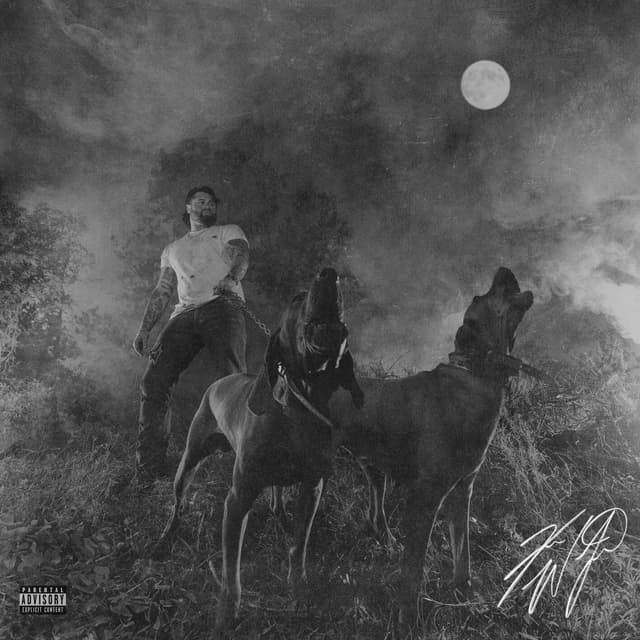 Album cover art for The Night Champion