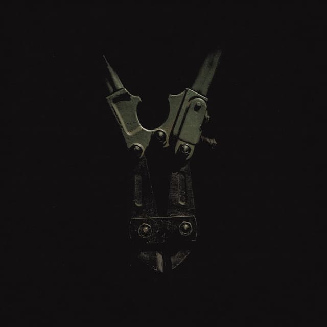 Album cover art for Boltcutter