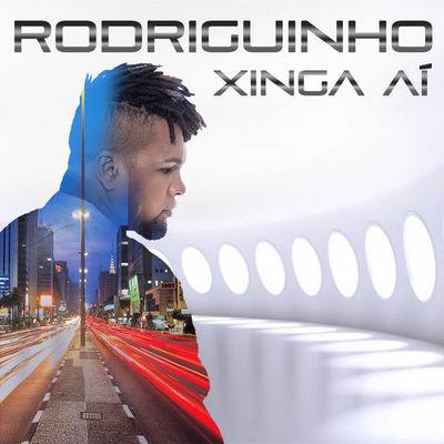 Album cover art for Xinga Aí