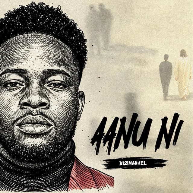 Album cover art for Aanu Ni
