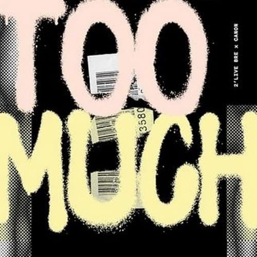Album cover art for Too Much