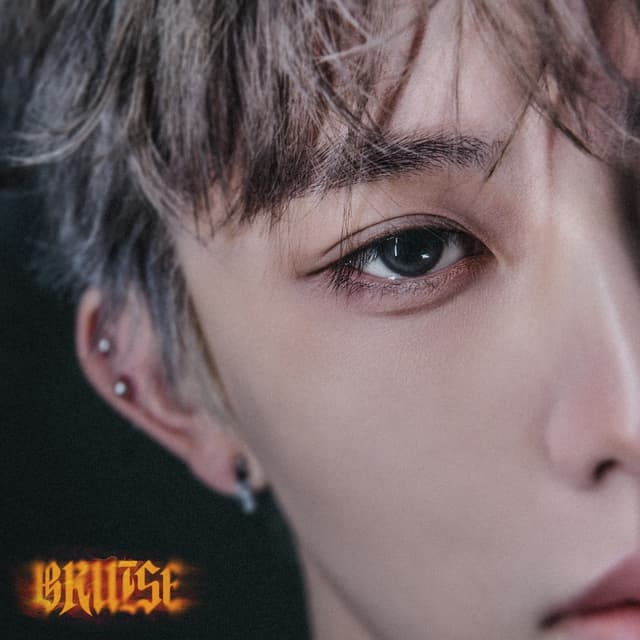 Album cover art for BRUISE