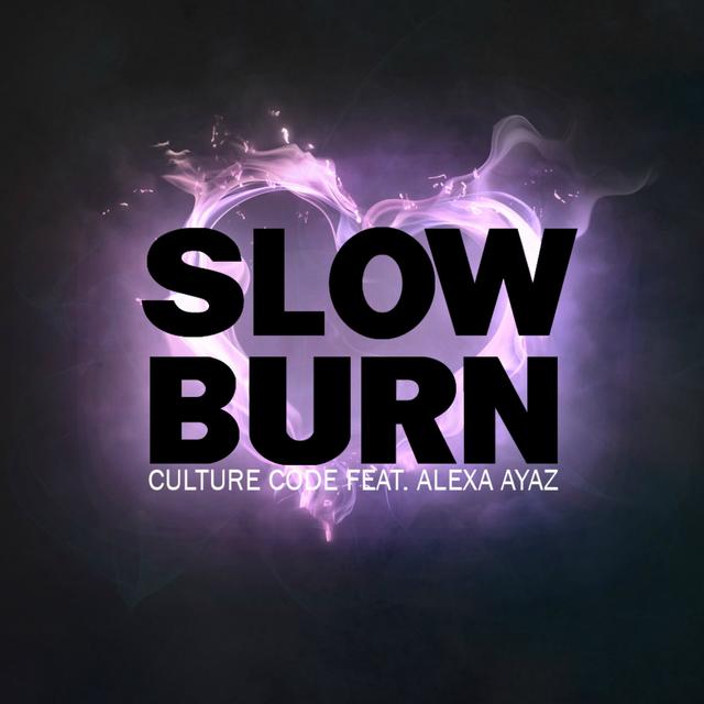 Album cover art for Slow Burn