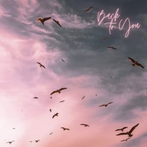 Album cover art for Back to You