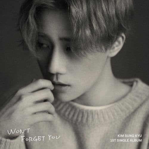 Album cover art for Won't Forget You