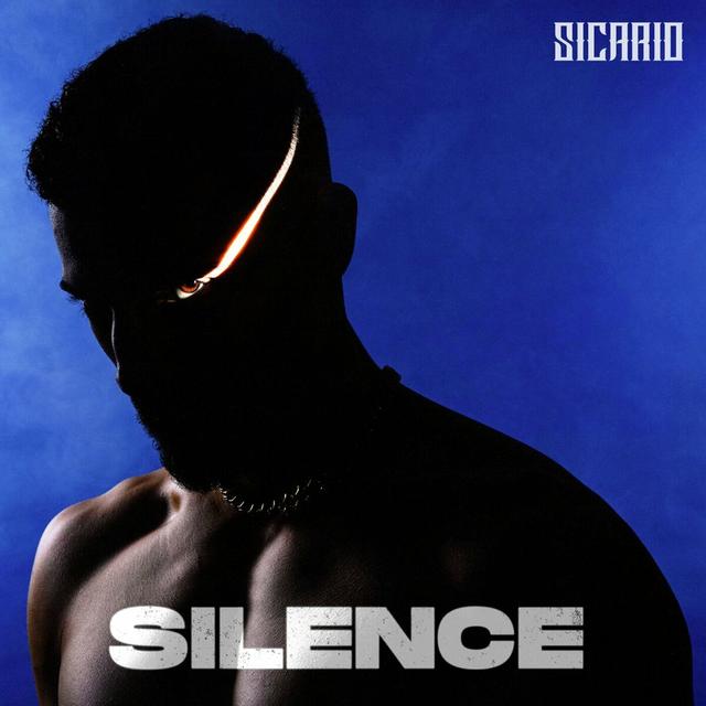 Album cover art for Silence