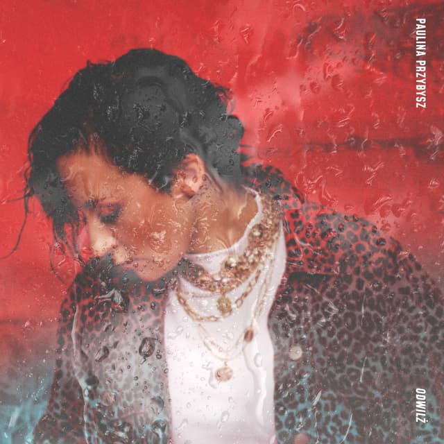 Album cover art for Odwilż