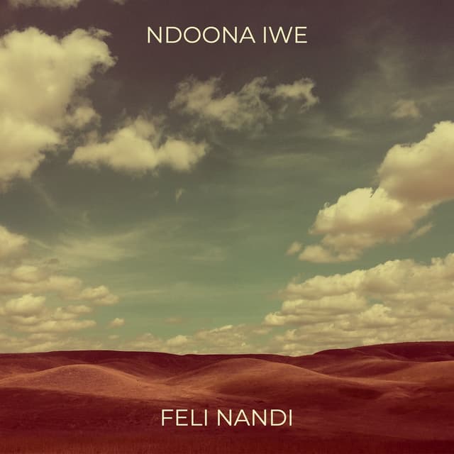 Album cover art for Ndoona Iwe
