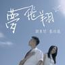 夢飛翔 (Flying Dream)