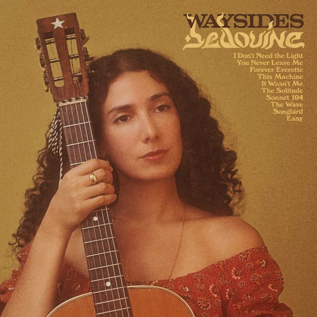 Album cover art for Waysides