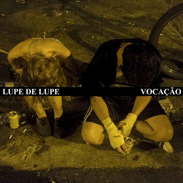 Album cover art for Vocação