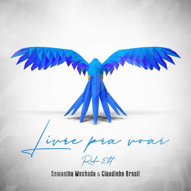 Album cover art for Livre Pra Voar
