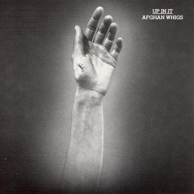 Album cover art for Up In It