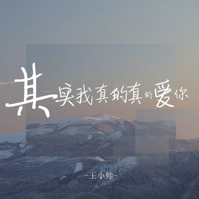 Album cover art for 其实我真的真的爱你