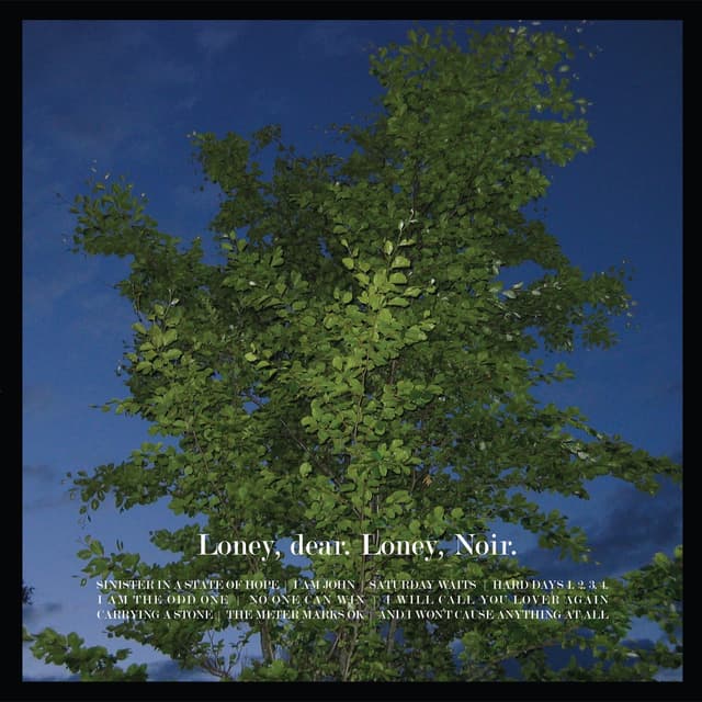 Album cover art for Loney, Noir