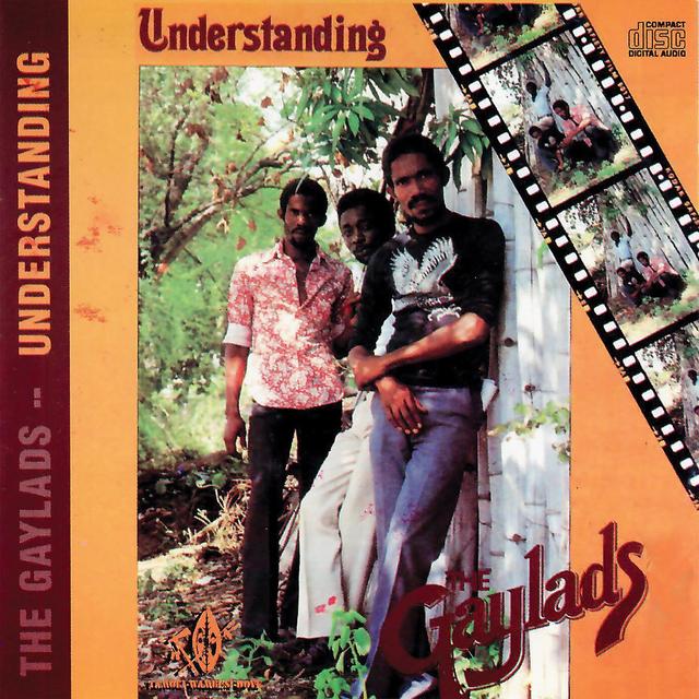 Album cover art for Understanding