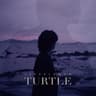 거북이 Turtle