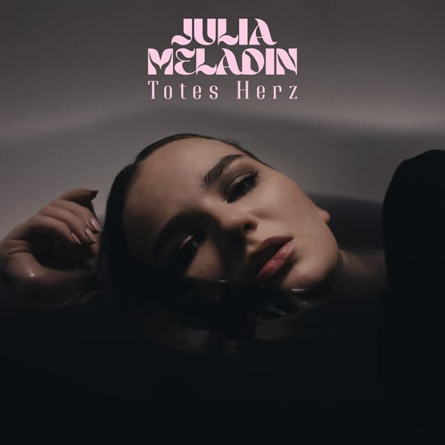 Album cover art for Totes Herz