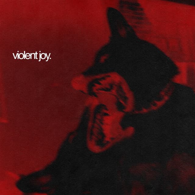 Album cover art for VIOLENT JOY