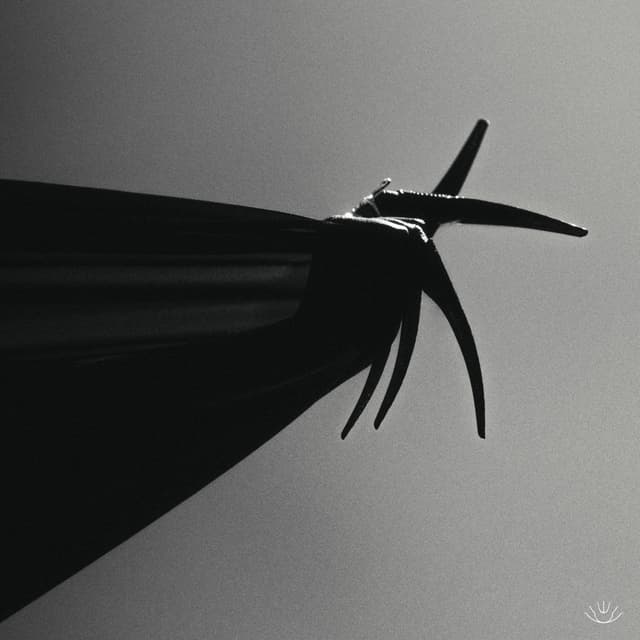 Album cover art for Make Us Whole Again