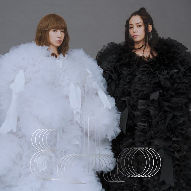 Album cover art for Echo