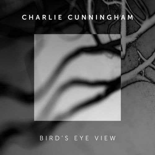 Album cover art for Bird's Eye View