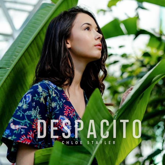 Album cover art for Despacito