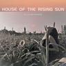 House of the Rising Sun (Unplugged)