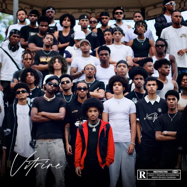 Album cover art for Vitrine