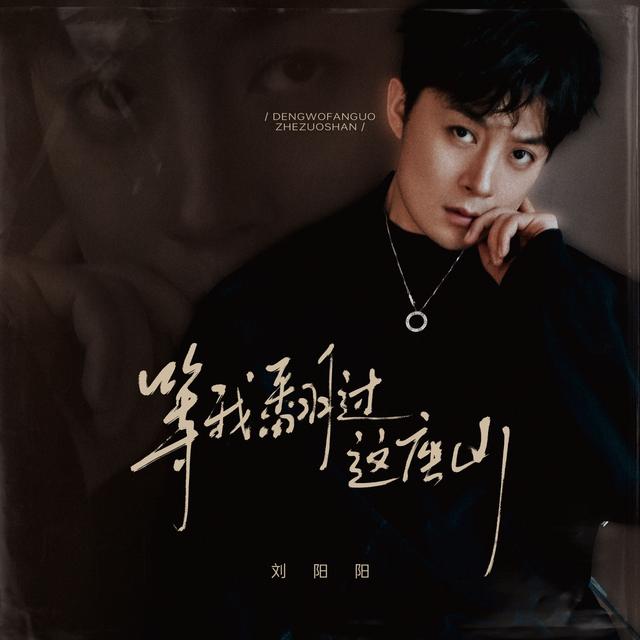 Album cover art for 等我翻过这座山