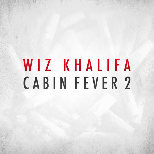 Album cover art for Cabin Fever 2