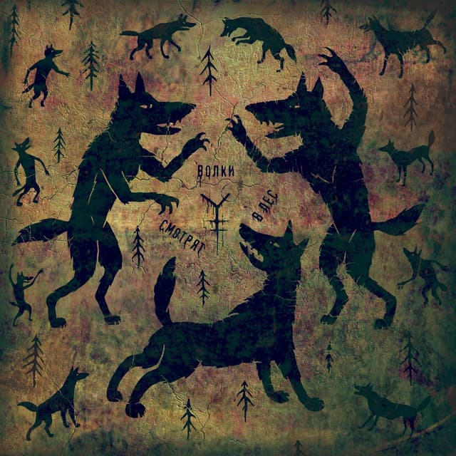 Album cover art for Волки смотрят в лес