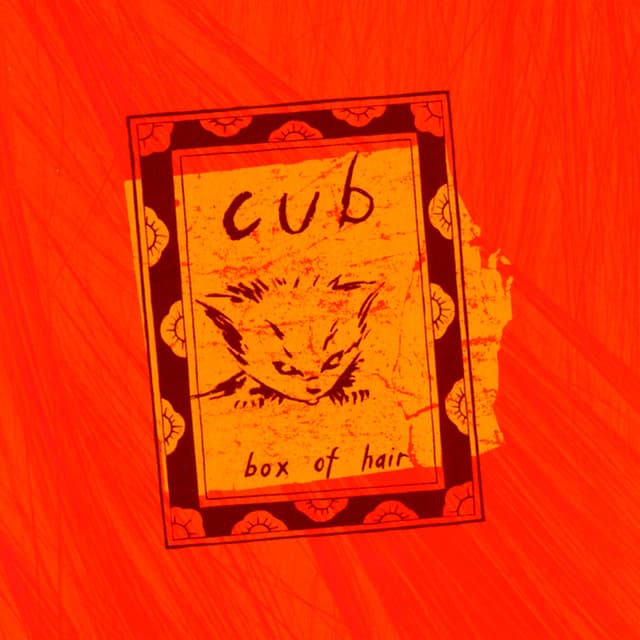 Album cover art for Box Of Hair