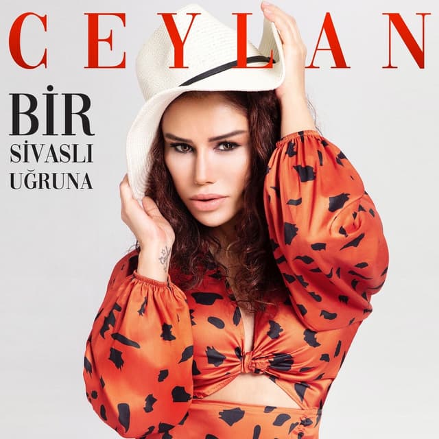Album cover art for Bir Sivaslı Uğruna