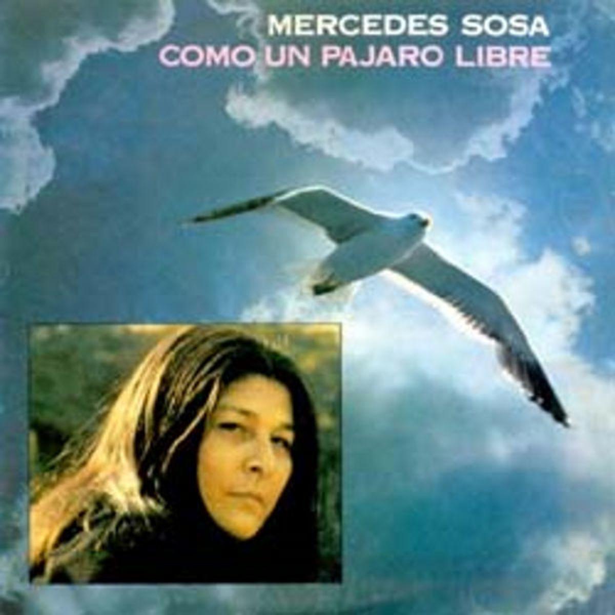 Como un Pájaro Libre