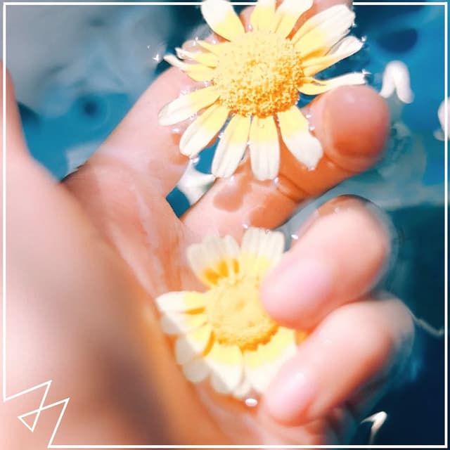 Album cover art for Flowers