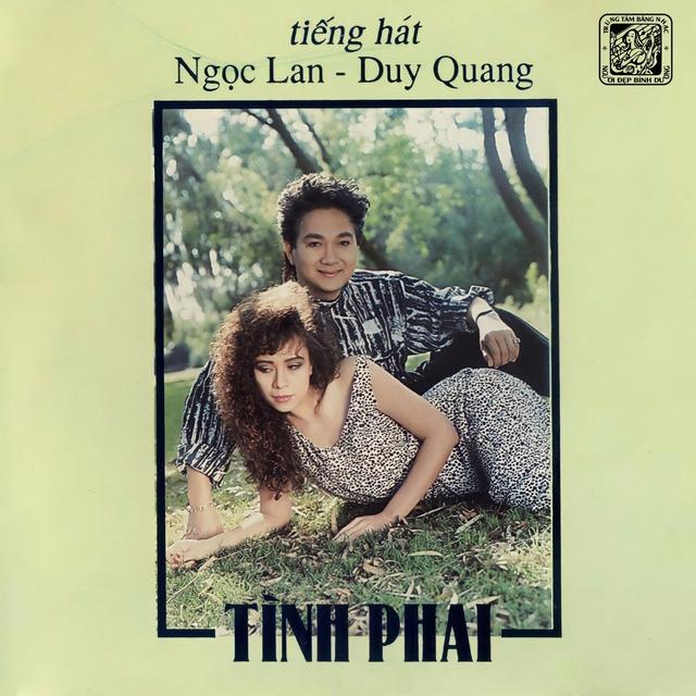 Album cover art for Tình Phai