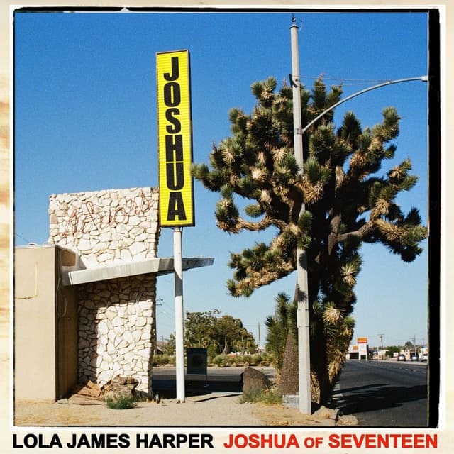 Album cover art for So Many Roads