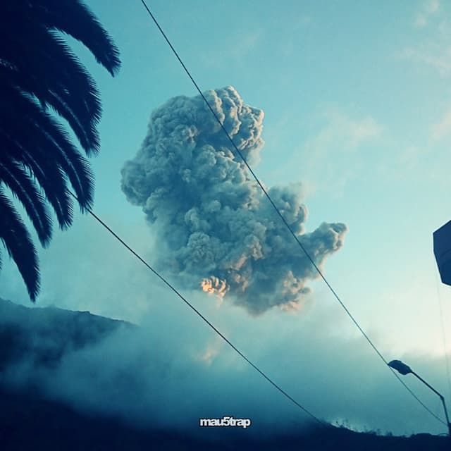 Album cover art for Forever