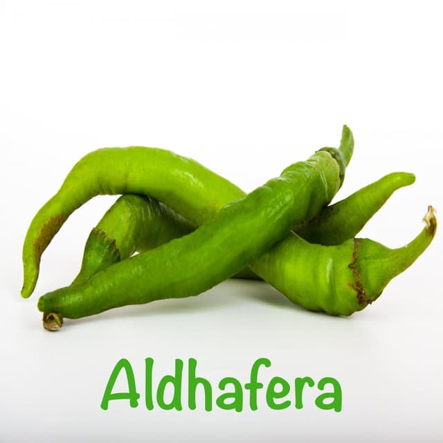 Album cover art for Aldhafera