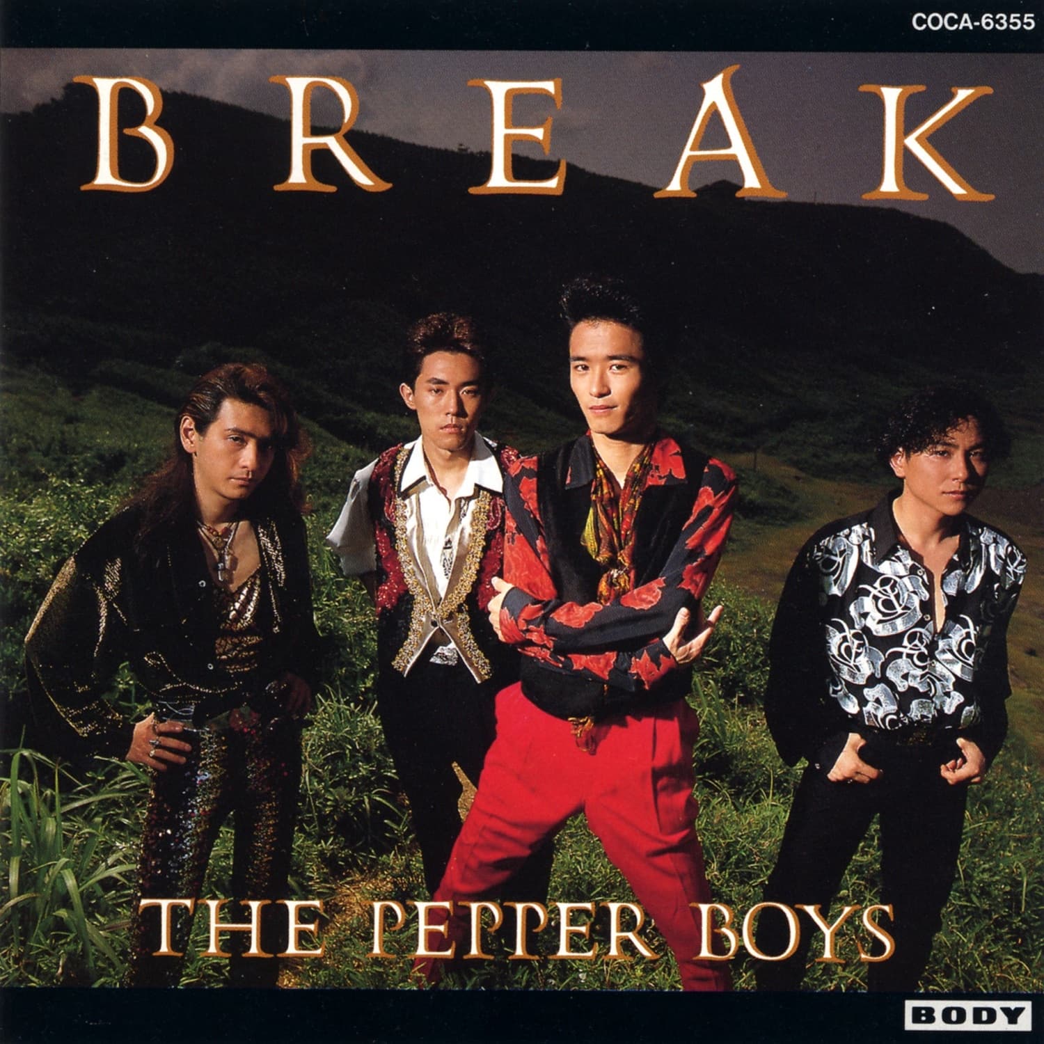 Lyric cover art