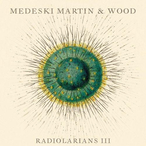 Radiolarians 3
