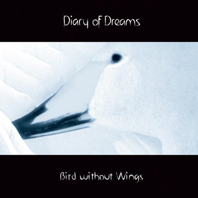 Album cover art for Bird Without Wings