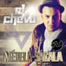 Metela Sacala