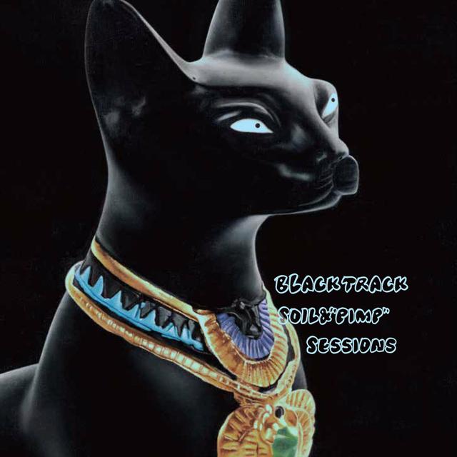 Album cover art for Black Track