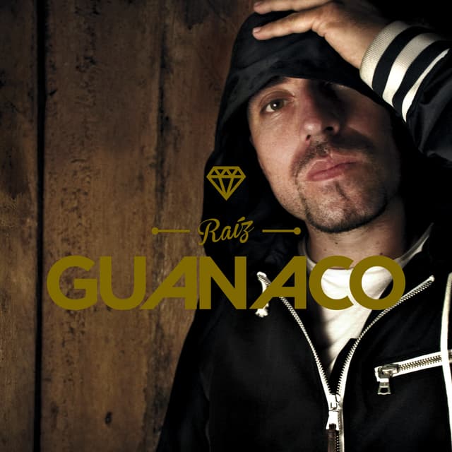 Album cover art for Raíz