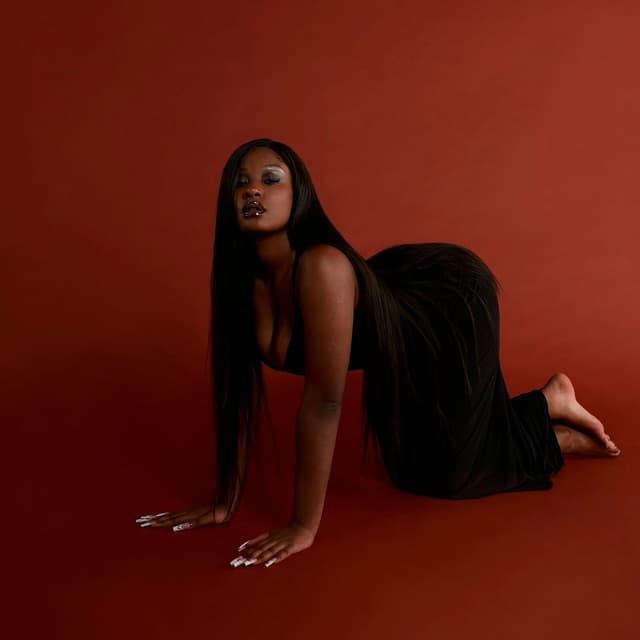 Album cover art for L'Amoroso